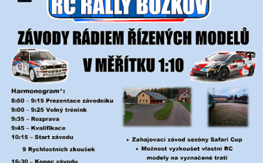 Závody rádiem řízených modelů